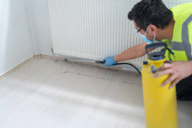 Best Mosquito Control Services  in Hasley Nyon, CA